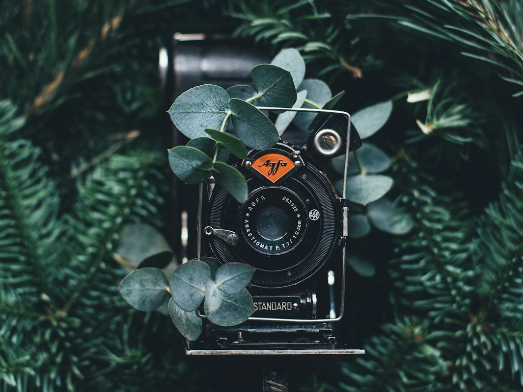 Umelecká fotografia